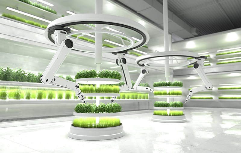 Transformando el campo: Aspia Space une la Inteligencia Artificial y la Agricultura