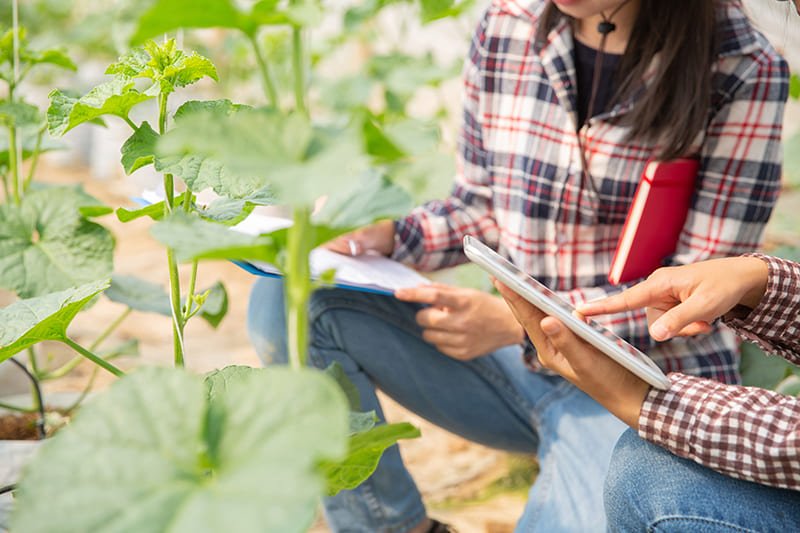 Transformando el campo: Aspia Space une la Inteligencia Artificial y la Agricultura