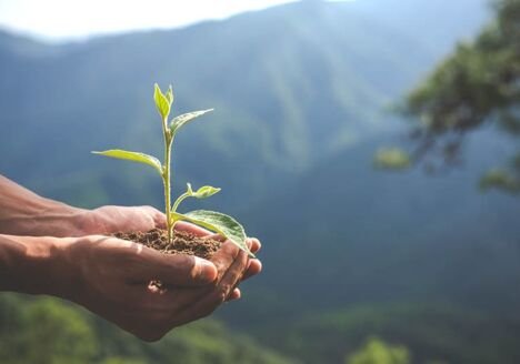 Tecnología sostenible para la conservación del medio ambiente
